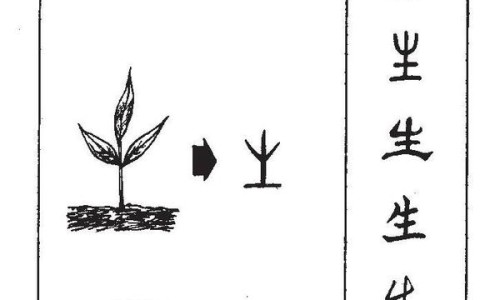 纯牛奶和高钙牛奶有什么区别?给老人和孩子喝哪个更好?-纯牛奶和高钙牛奶有什么区别网 | 纯牛奶和高钙牛奶有什么区别和功效,低脂高钙牛奶和纯牛奶哪个好